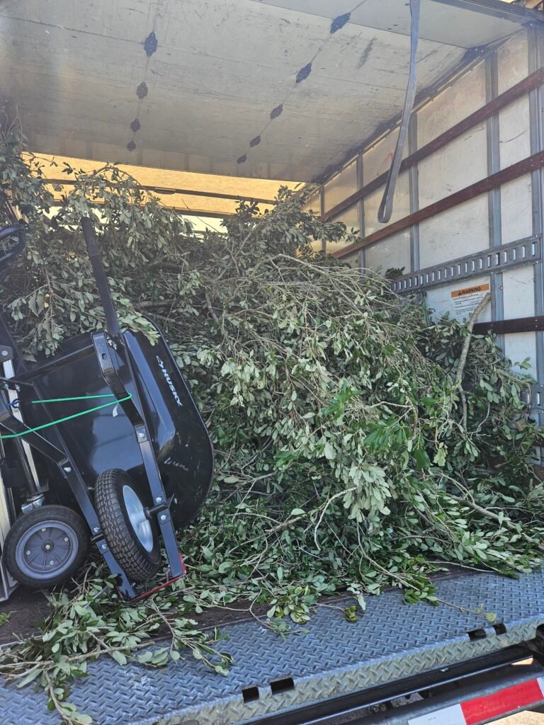 Debris Removal Services