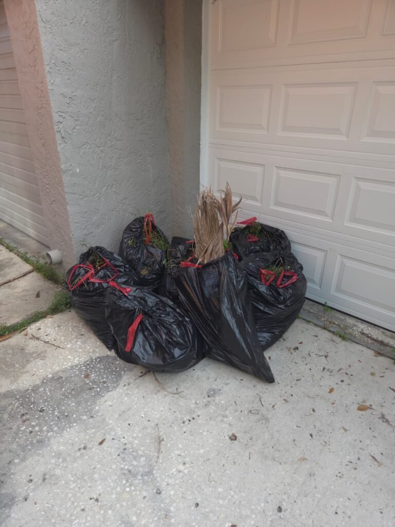 Waste Management Service