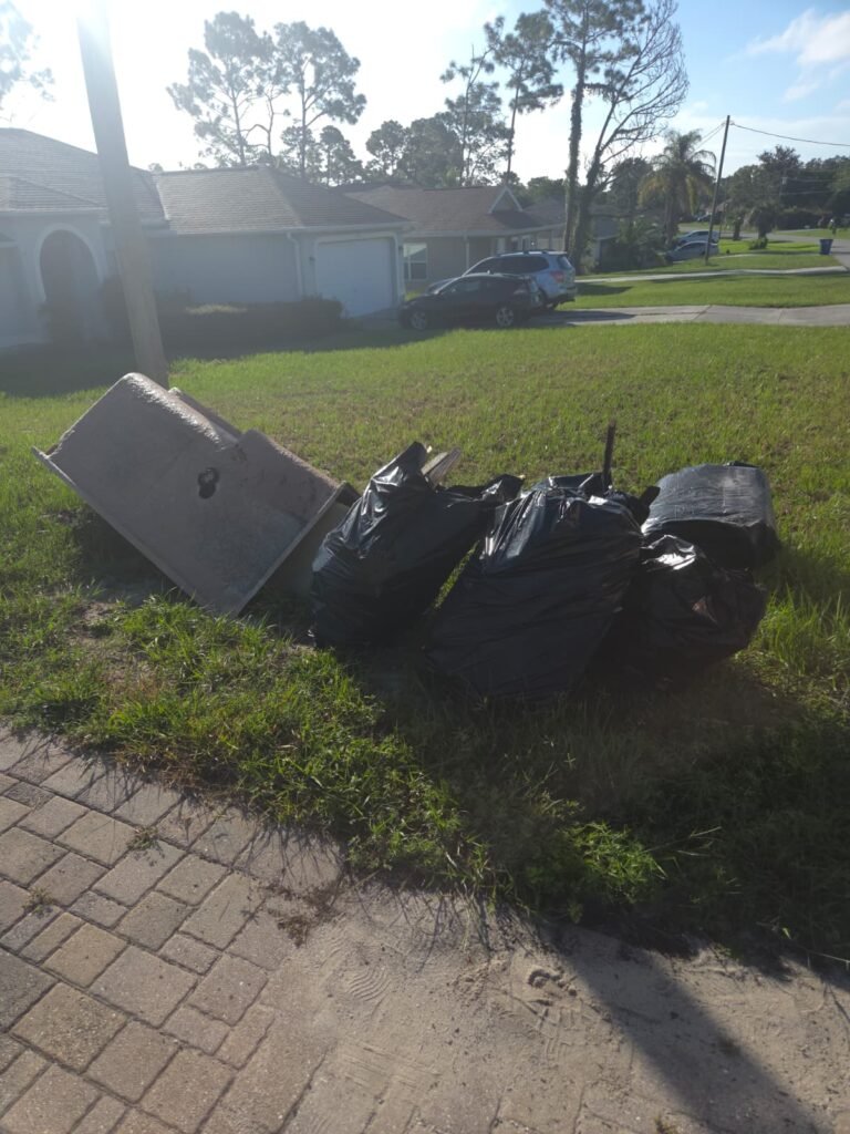 Waste Management Service