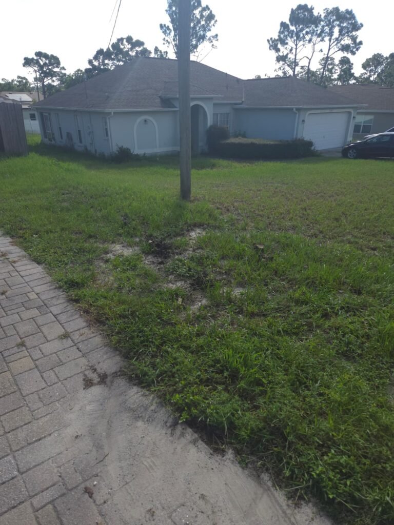 Waste Management Service