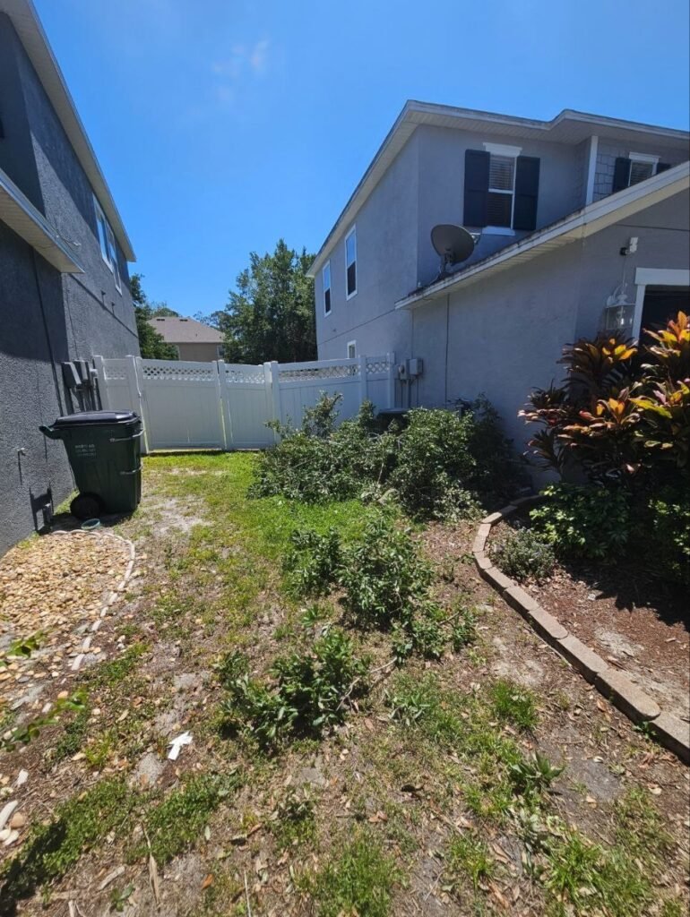 Debris Removal Services